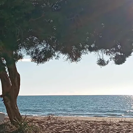 Διαμέρισμα Sunset *